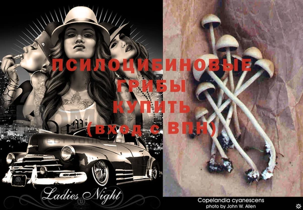 дистиллят марихуана Верея