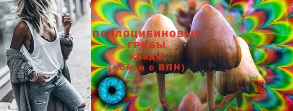 МДПВ Верхний Тагил