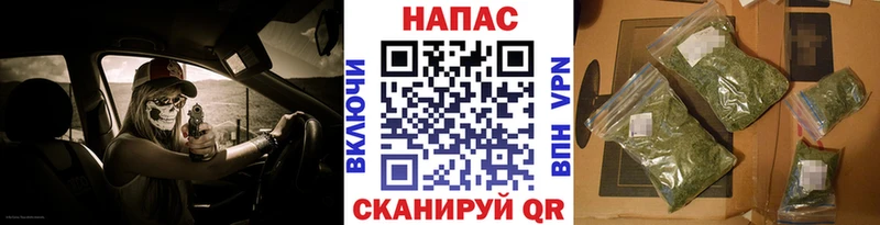 Купить  Великие Луки  Конопля Ganja 